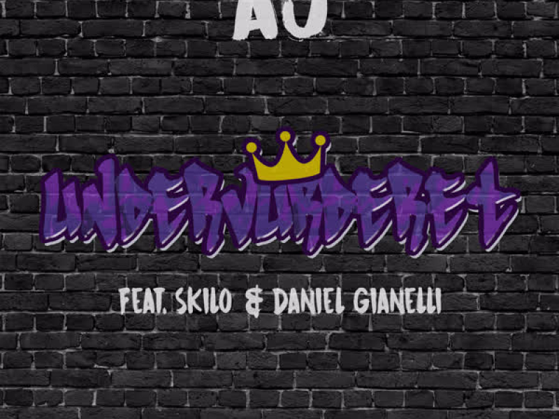 Undervurderet (Single)