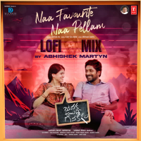 Naa Favourite Naa Pellam Lofi Mix (Single)