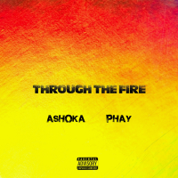 Through the Fire (Remix) (Single)