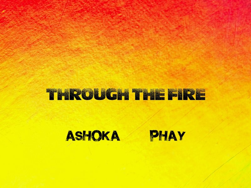 Through the Fire (Remix) (Single)