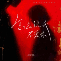 怎么说我不爱你 (女版dj) (Single)