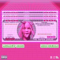 Money Bag (Single)