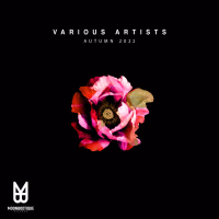 Karambolage (Single)