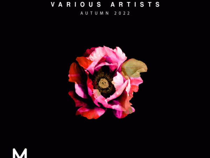 Karambolage (Single)