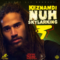 Nuh Skylarking (Single)