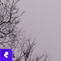 这首歌到底为谁而唱（live） (Single)