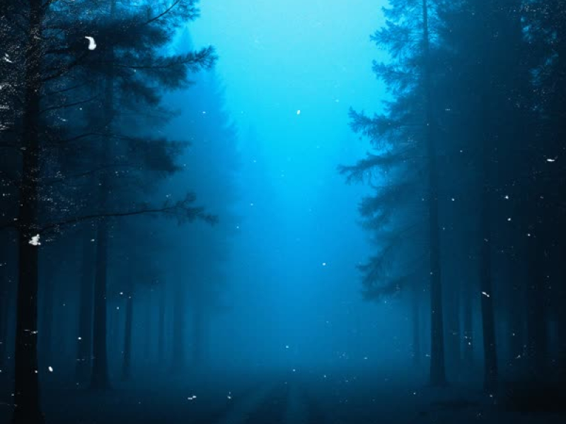 Through The Blur (EP)