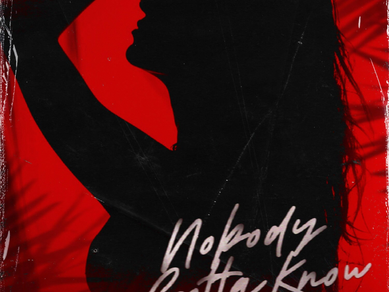 Nobody Gotta Know (Single)