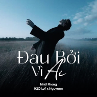 Đau Bởi Vì Ai (Lofi) (Single)