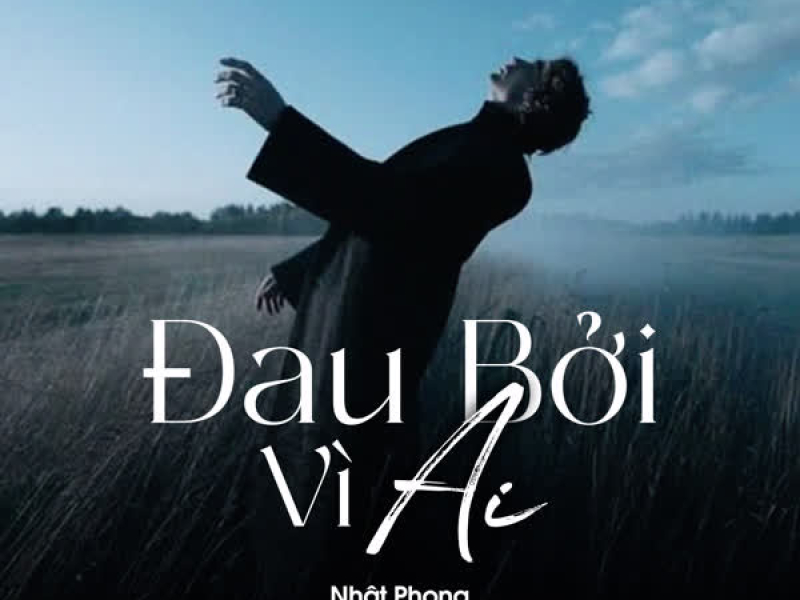 Đau Bởi Vì Ai (Lofi) (Single)