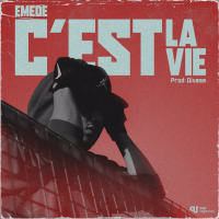 C'est la Vie (Single)