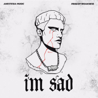 I'm Sad (Single)