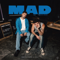 MAD (Matt Pridgyn Remix) (Single)