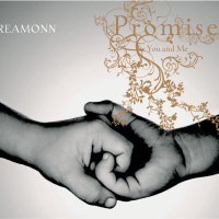 Promise (You And Me) (Online Version) (Single)