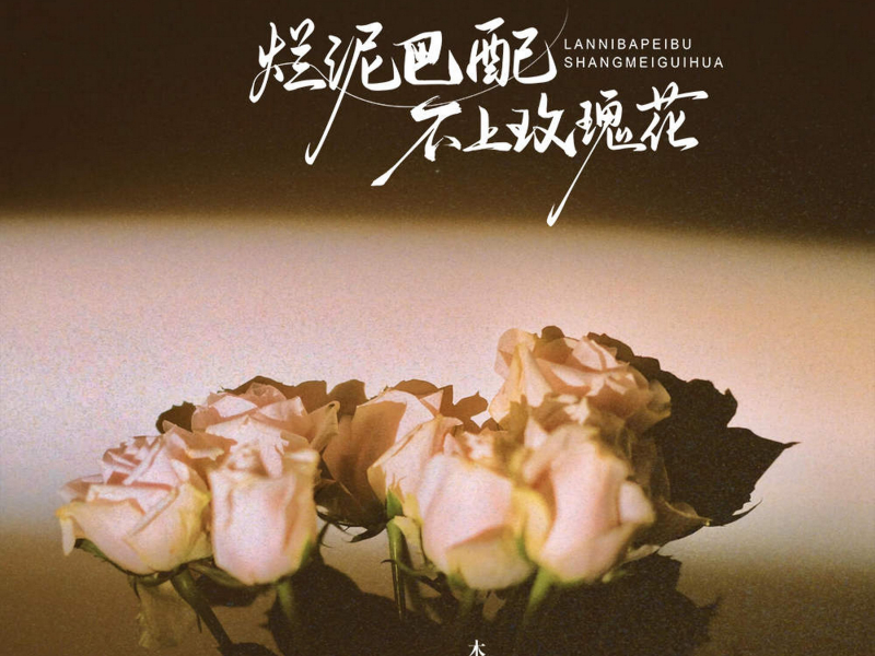烂泥巴配不上玫瑰花 (Single)