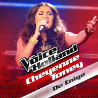 De Enige (From The Voice Of Holland) (Single)