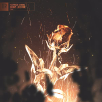 Burns Like Fire (Single)