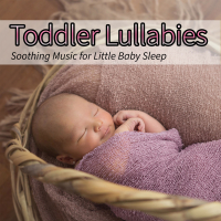 Toddler Lullabies: Soothing Music for Little Baby Sleep (Nature Sounds Version) (Single)