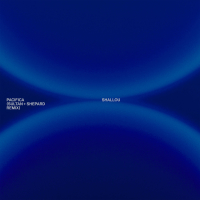 Pacifica (Sultan + Shepard Remix) (EP)