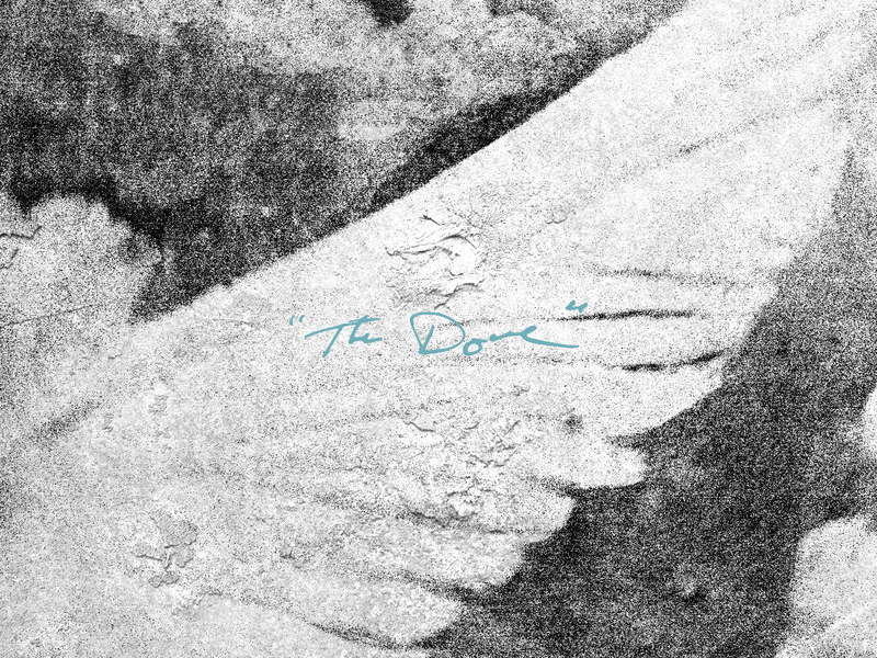 The Dove (Live) (Single)
