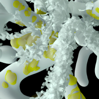 Liquadora (COLA REN Remix) (Single)