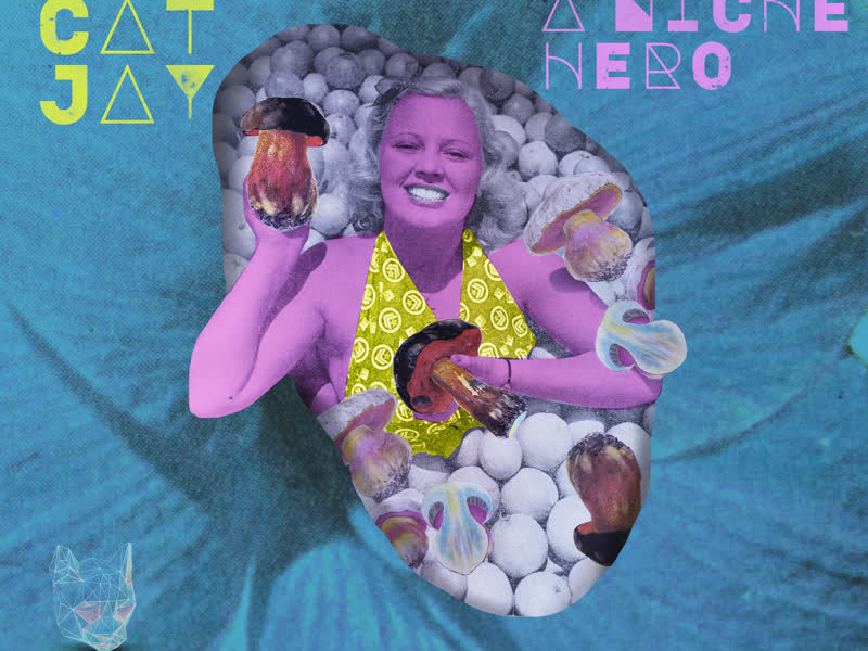 Era of a Niche Hero (Single)