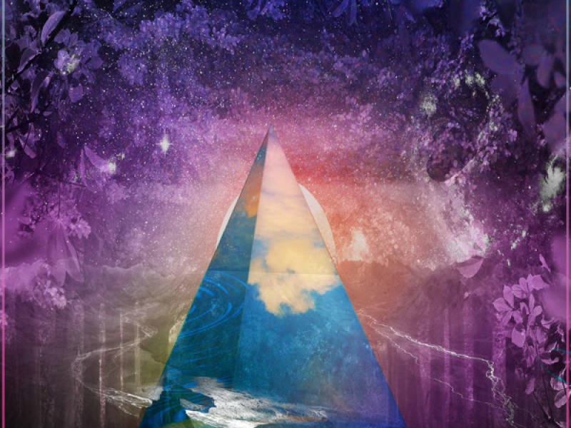 Determined to Succeed (Single)