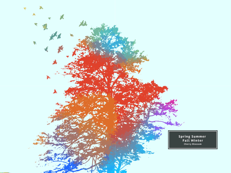 Spring Summer Fall Winter (Single)