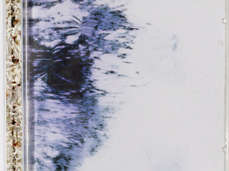 Mildest High (Single)