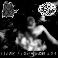 Burst Intestines from the Mangled Cadaver (EP)