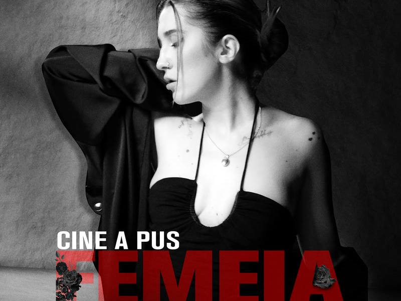 Cine a pus femeia în drum (Single)