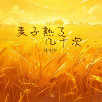 麦子熟了几千次 (Single)