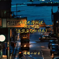 好像也没犯过什么大错 (这些年在忙什么) (Single)