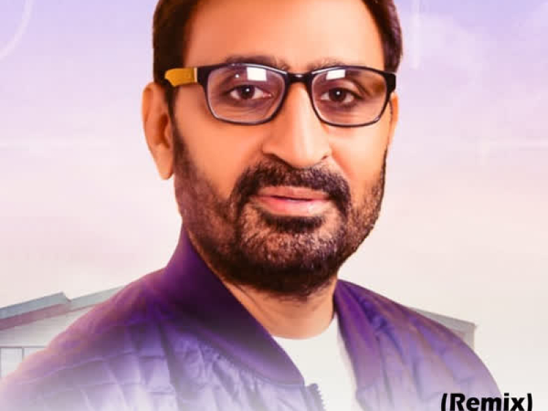 Nikki Jehi Gal Pichhe (Remix) - Single