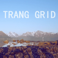 Trang Grid (Single)