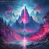Used To It All (Single)