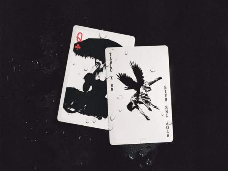 Stop The Rain (TABLO X RM) (Single)