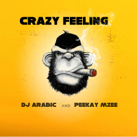 Crazy Feeling (Single)