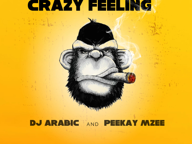 Crazy Feeling (Single)