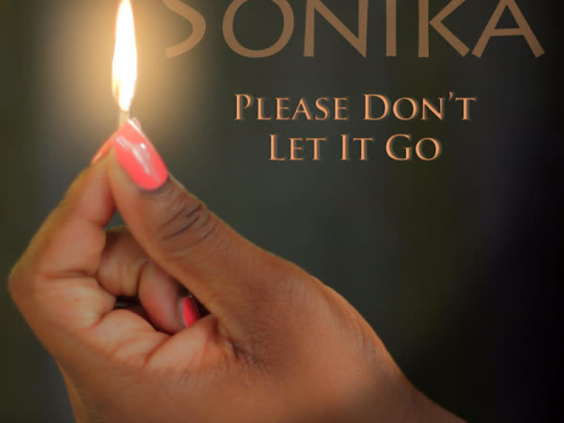 Please Don't Let It Go (Single)