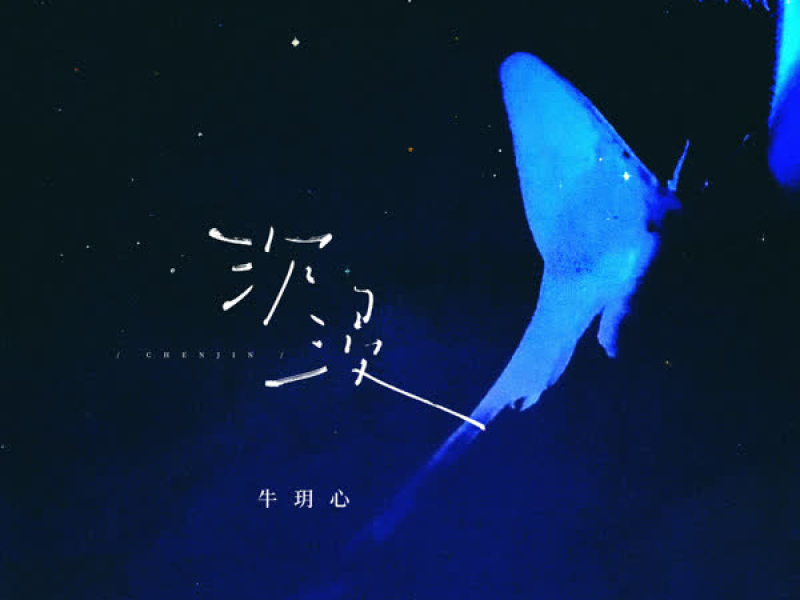 沉浸 (Single)