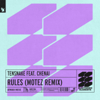 Rules (Motez Remix) (Single)