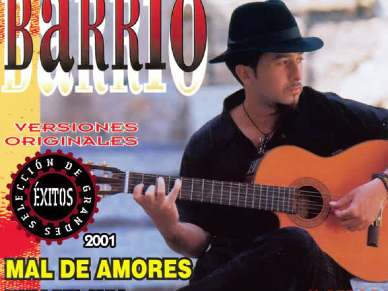 Seleccíon de Grandes Exitos 2001