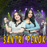 Santri Pekok (Single)