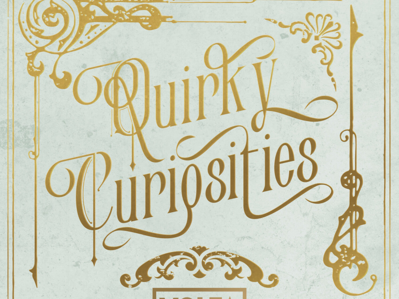 Quirky Curiosities