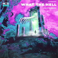 WHAT THE HELL (OBLVYN Remix) (Single)