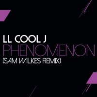 Phenomenon (Sam Wilkes Remix) (Single)