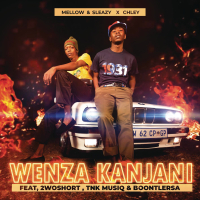 Wenza Kanjani (Single)