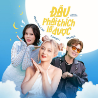 Đâu Phải Thích Là Được (Single)