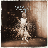 Wake Me (Single)